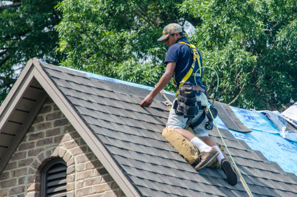 Best New Roof Installation  in Highland, AR